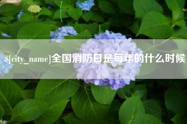 北海全国消防日是每年的什么时候