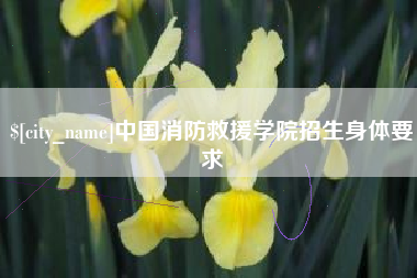 北海中国消防救援学院招生身体要求