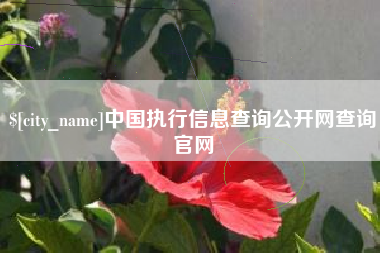 北海中国执行信息查询公开网查询官网