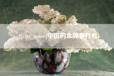 北海中国的金牌有几名