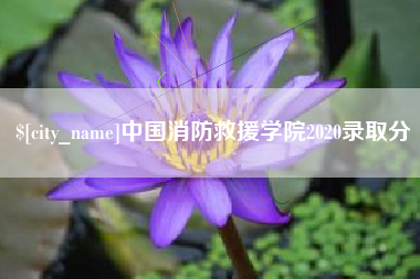 北海中国消防救援学院2020录取分