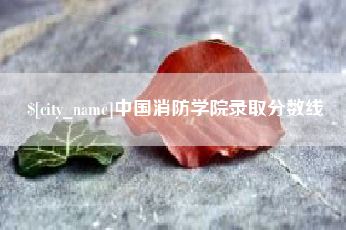 北海中国消防学院录取分数线