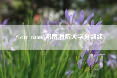 北海河南消防大学分数线