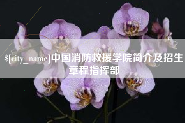 北海中国消防救援学院简介及招生章程指挥部