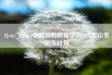 北海中国消防救援学院2021年山东招生计划