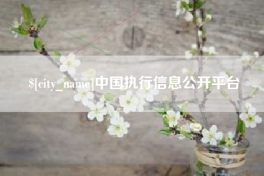 北海中国执行信息公开平台
