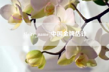 北海中国金牌估计