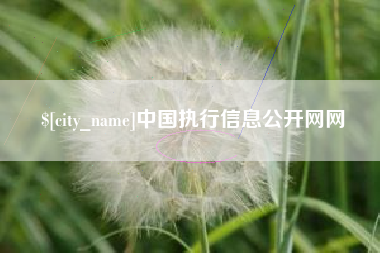 北海中国执行信息公开网网