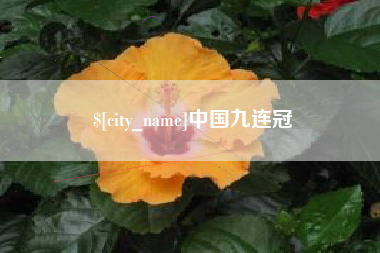 北海中国九连冠