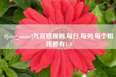 北海九宫格规则,每行,每列,每个粗线都有1-9