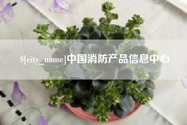 北海中国消防产品信息中心