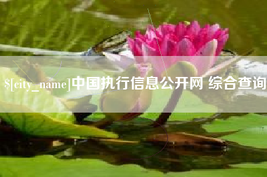 北海中国执行信息公开网 综合查询