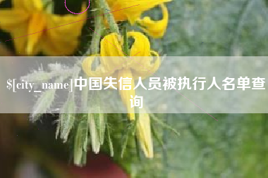 北海中国失信人员被执行人名单查询
