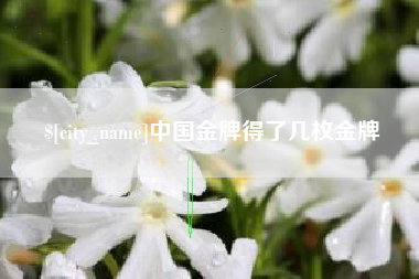 北海中国金牌得了几枚金牌