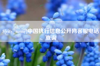 北海中国执行信息公开网客服电话查询