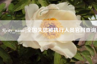 北海全国失信被执行人员官网查询