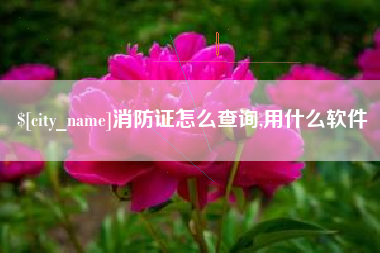 北海消防证怎么查询,用什么软件