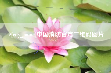 北海中国消防官方二维码图片