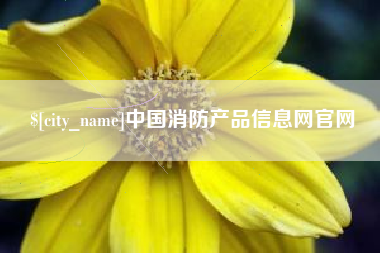 北海中国消防产品信息网官网