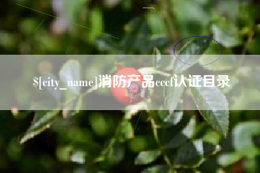北海消防产品cccf认证目录