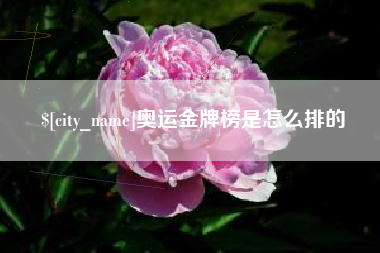 北海奥运金牌榜是怎么排的