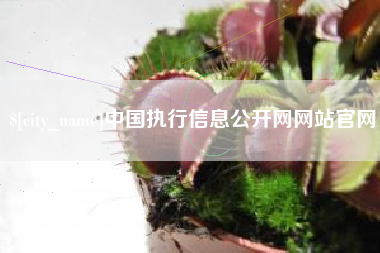 北海中国执行信息公开网网站官网