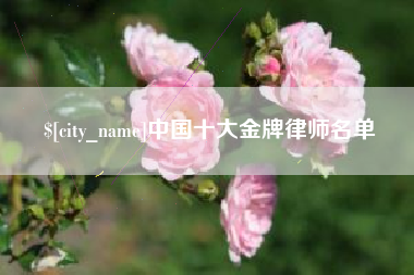 北海中国十大金牌律师名单
