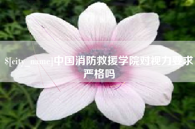 北海中国消防救援学院对视力要求严格吗
