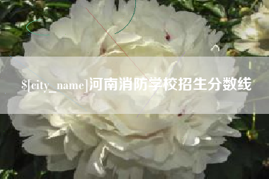 北海河南消防学校招生分数线