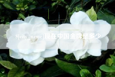 北海现在中国金牌是多少