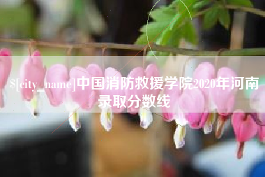 北海中国消防救援学院2020年河南录取分数线