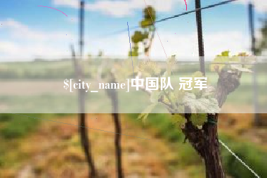 北海中国队 冠军
