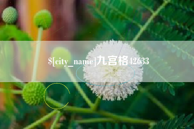 北海九宫格42633