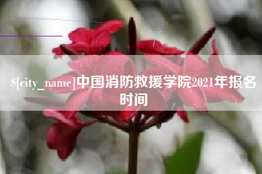 北海中国消防救援学院2021年报名时间