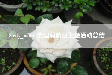 北海全国消防日主题活动总结