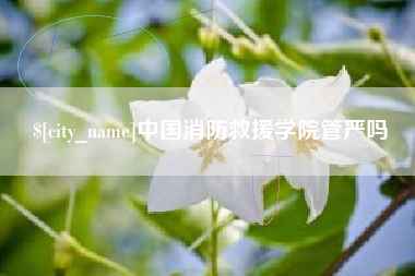 北海中国消防救援学院管严吗