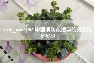 北海2021中国消防救援学院分数线是多少