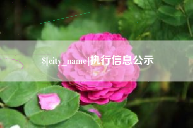 北海执行信息公示