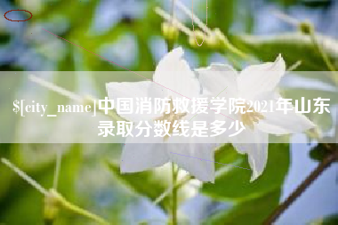 北海中国消防救援学院2021年山东录取分数线是多少