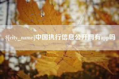 北海中国执行信息公开网有app吗