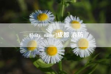 北海成都 消防