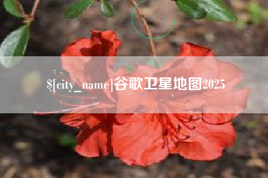 北海谷歌卫星地图2025