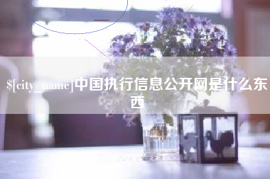 北海中国执行信息公开网是什么东西