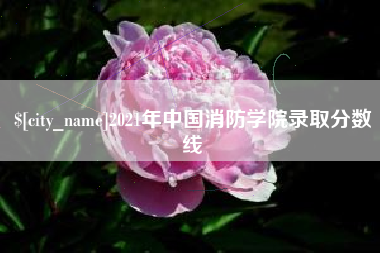 北海2021年中国消防学院录取分数线