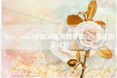 北海中国消防救援学院2020浙江招生计划