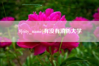 北海有没有消防大学