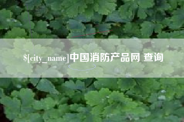 北海中国消防产品网 查询