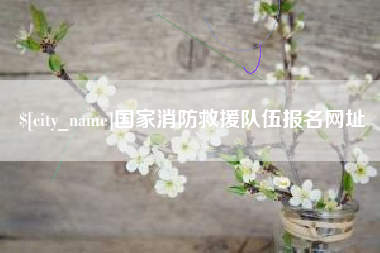北海国家消防救援队伍报名网址