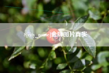 北海金牌图片真实