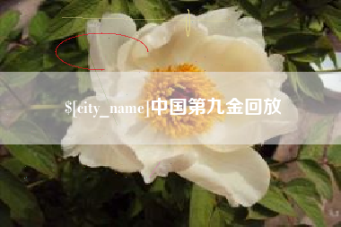 北海中国第九金回放